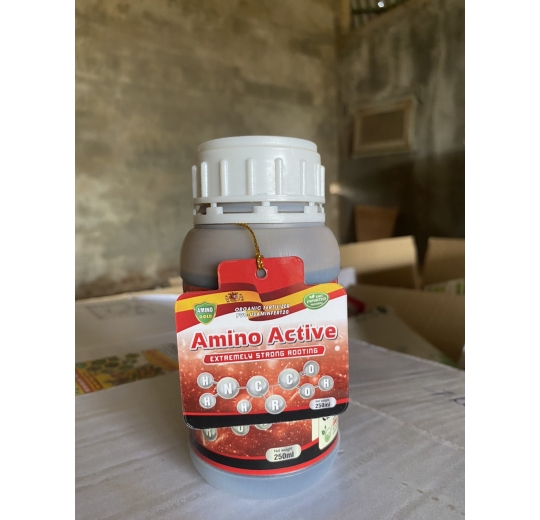 Amino Active